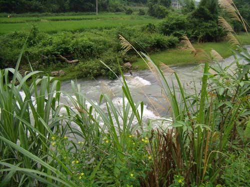 春 望 - 文学苑 - 888集团电子游戏