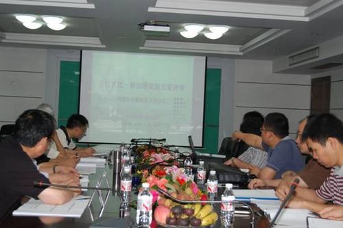 合江长江一桥扣塔装置方案顺遂通过评审 - 企业要闻 - 888集团电子游戏