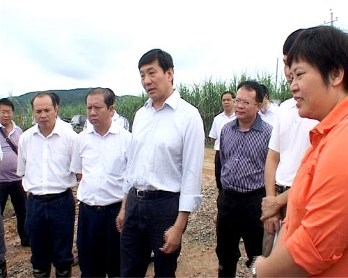 百色市市长谢泽宇到新山铝工业树模园园区路网工程项目检查指导事情 - 企业要闻 - 888集团电子游戏