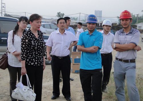 自治区人民政府办公厅副调研员张春芳一行莅临百色市竹洲大桥视察工程希望情形 - 企业要闻 - 888集团电子游戏