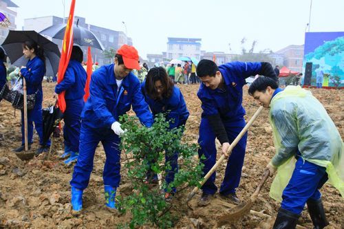 总公司团委组织青年员工加入“绿满八桂，，绿动青春”植树活动 - 企业要闻 - 888集团电子游戏