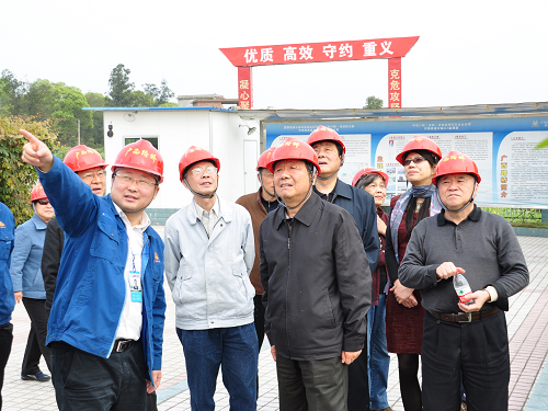 中国公路学会理事长、原中国交通运输部副部长胡希捷一行莅临波司登大桥调研 - 企业要闻 - 888集团电子游戏