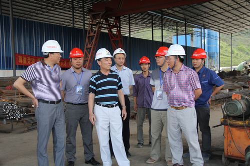 自治区人大民族委员会副主任黄华宽莅临靖那1标相识项目建设情形 - 企业要闻 - 888集团电子游戏