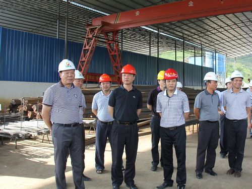 自治区交通运输厅副厅长李小林莅临靖那1标检查指导事情 - 企业要闻 - 888集团电子游戏