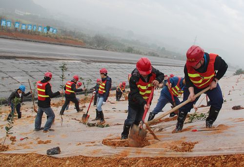 灌凤1标组织开展植树环保；疃 - 企业要闻 - 888集团电子游戏