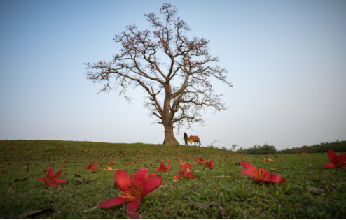 888集团电子游戏(中国游)有限公司官网