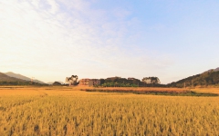 文学苑 - 888集团电子游戏