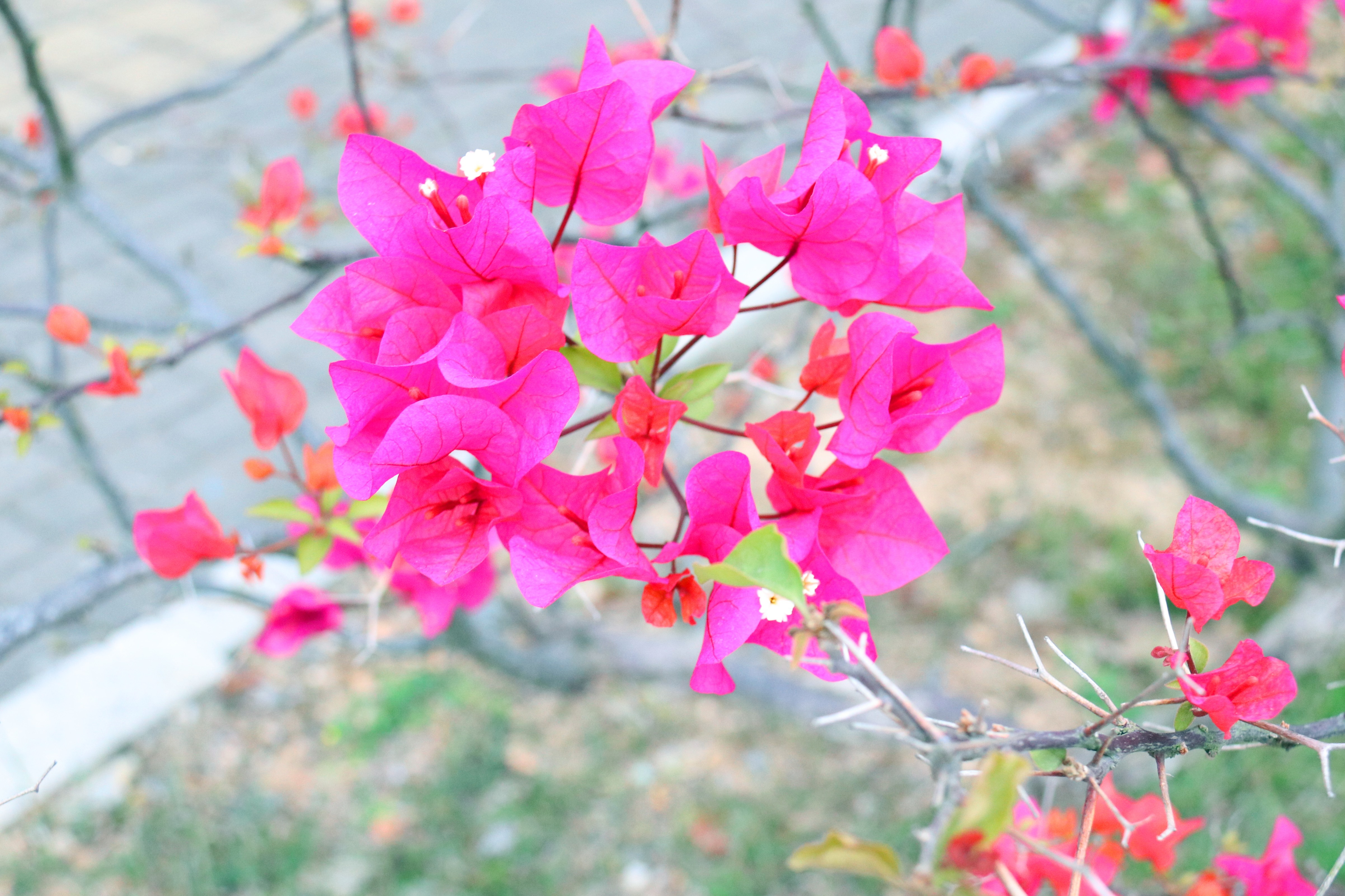 888集团电子游戏(中国游)有限公司官网