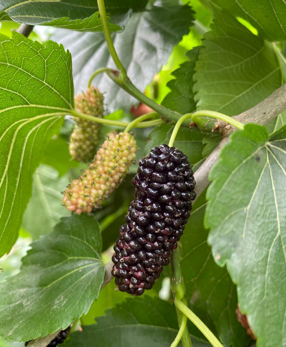 888集团电子游戏(中国游)有限公司官网