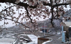 文学苑 - 888集团电子游戏