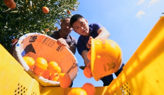 广西888集团电子游戏“百年风华 交透风范”天下交通运输摄影大赛参赛作品——滇桂一家亲