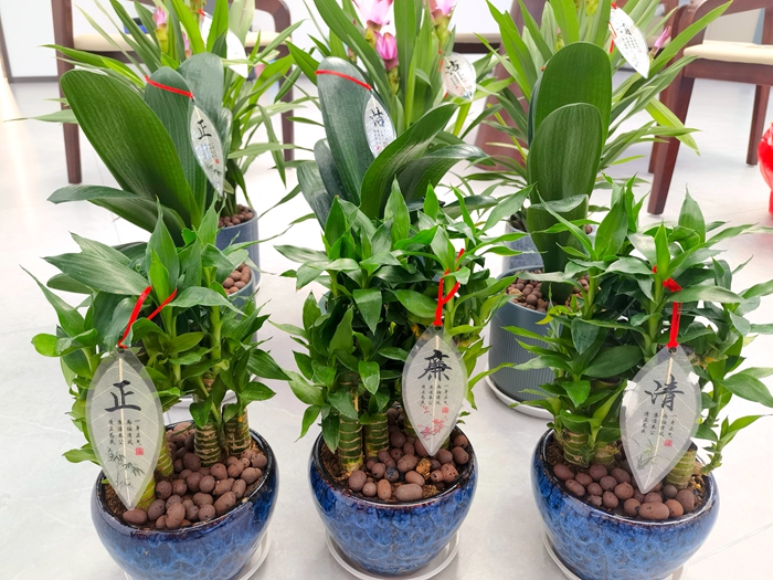 888集团电子游戏(中国游)有限公司官网