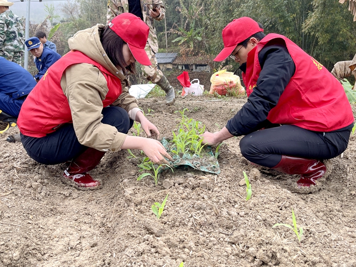 888集团电子游戏(中国游)有限公司官网