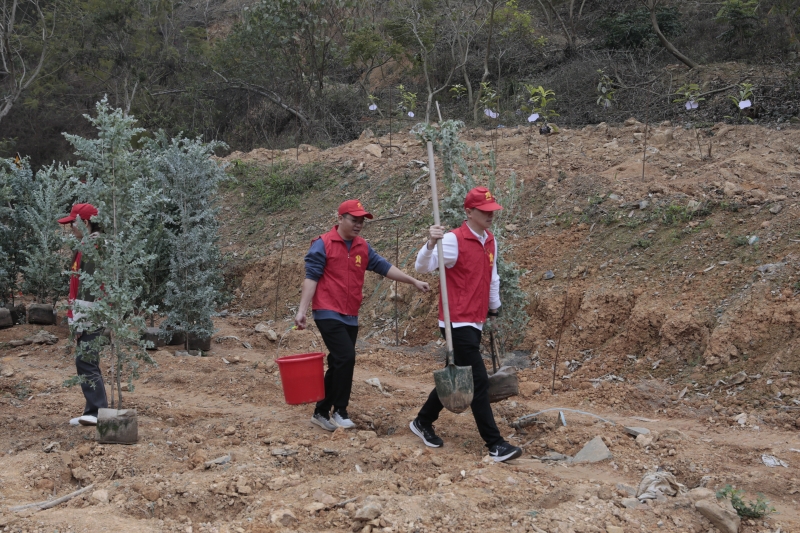 888集团电子游戏(中国游)有限公司官网